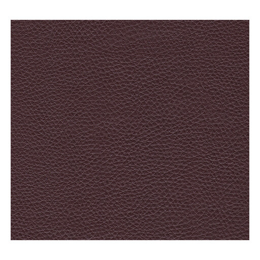 Sky Kuntsleer Bronco Leo A08