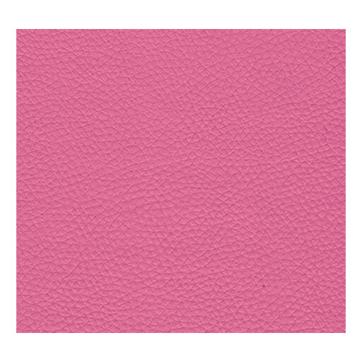 Sky Kuntsleer Bronco Leo A16