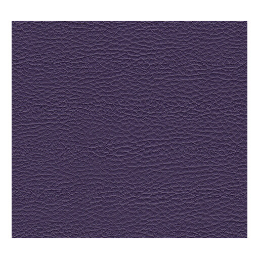 Sky Kuntsleer Bronco Leo A17 Sky Kuntsleer Bronco Leo A17