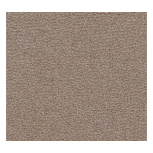 Sky Kuntsleer Bronco Leo A23