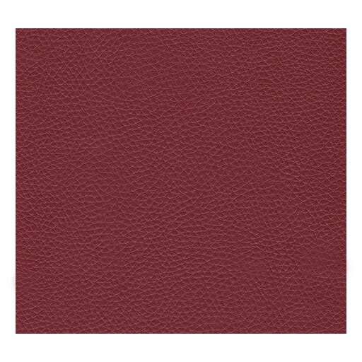 Sky Kuntsleer Bronco Leo A28